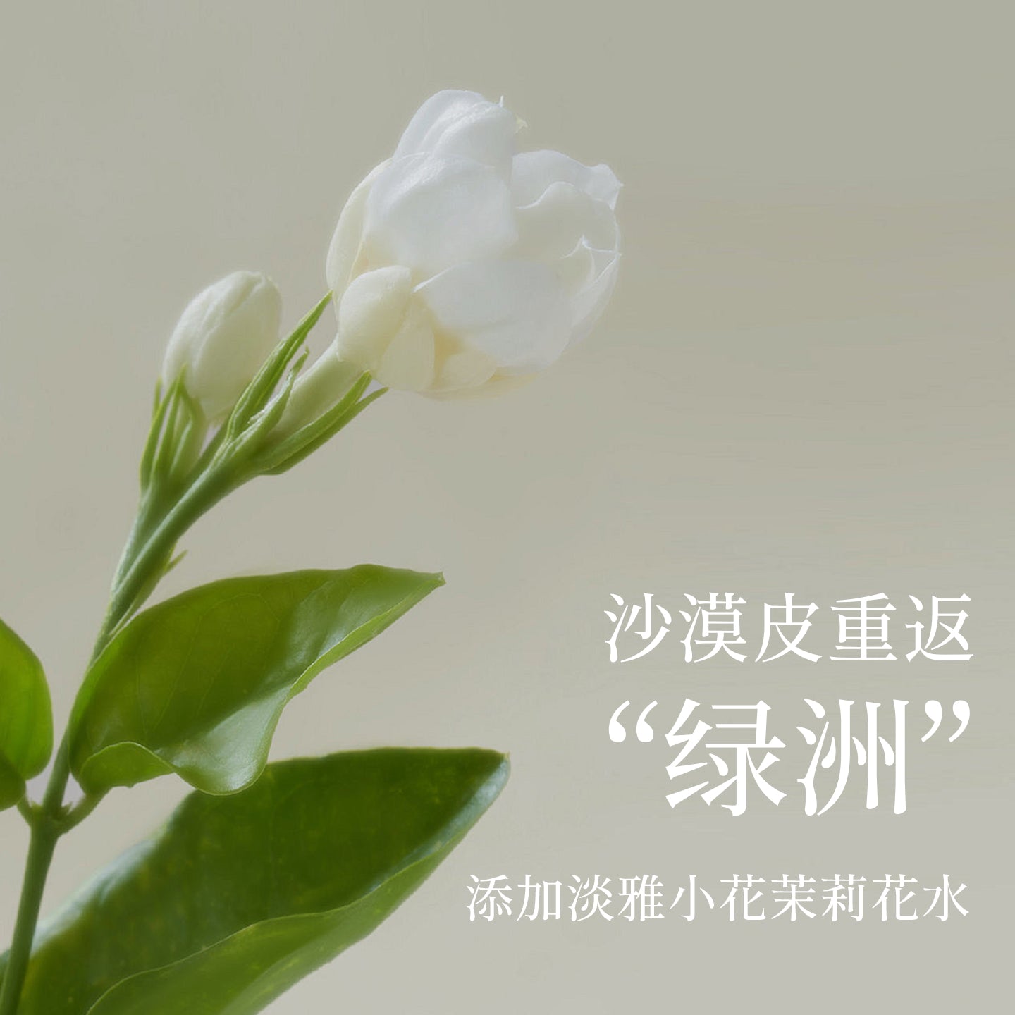 疯天然冷製研磨手工皂乳木果油香皂保養滋潤清潔沐浴肥皂洗澡洗臉精油皂嫩膚美白