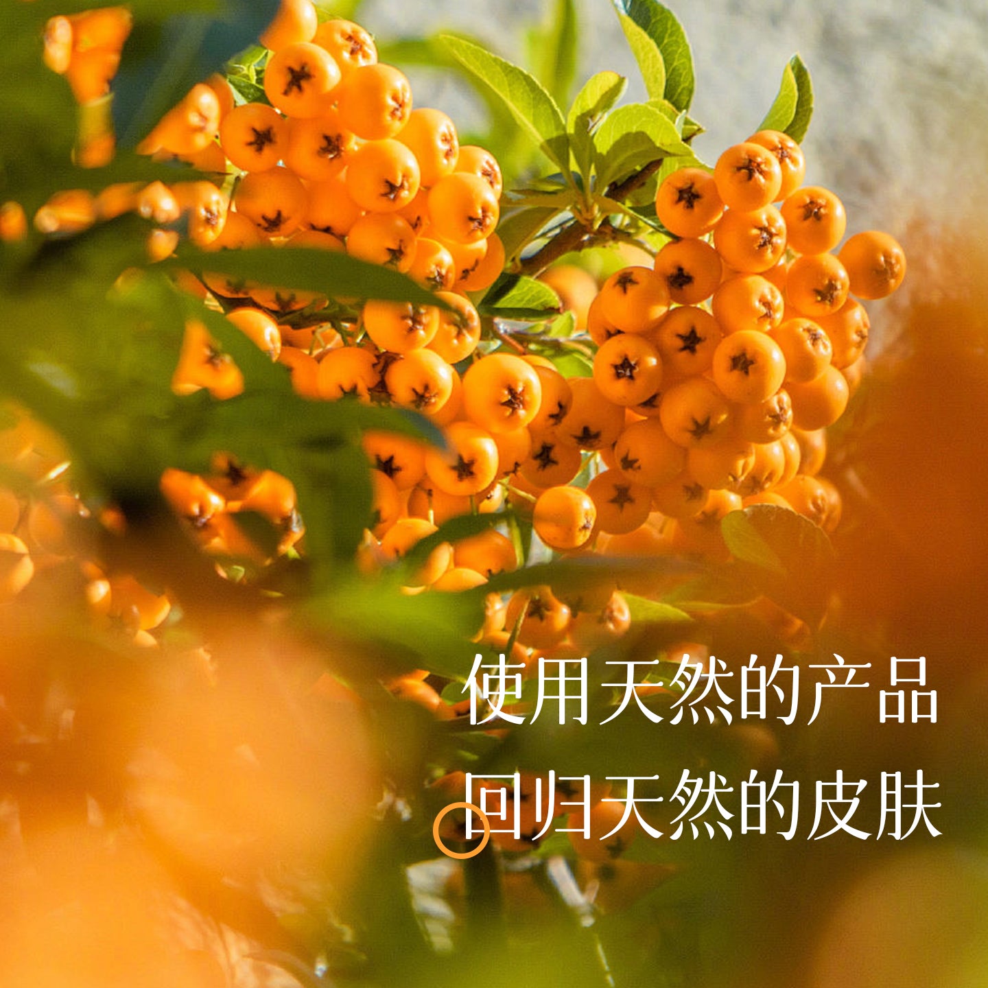 疯天然冷製研磨手工皂沙棘果油沐浴潔面香皂控油去角質洗澡洗臉精油香皂舒緩嫩膚